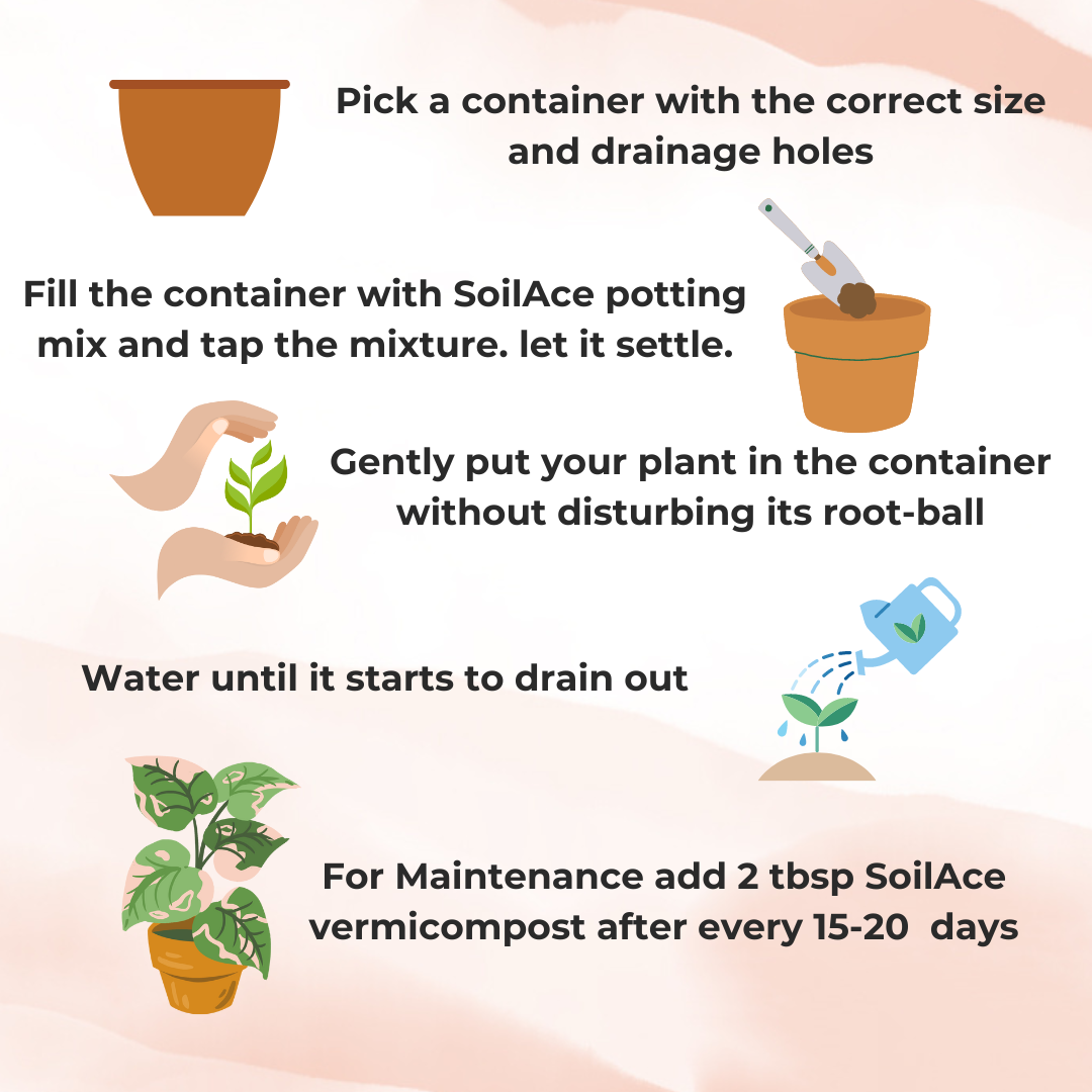 All Purpose Soil-less Potting Mix