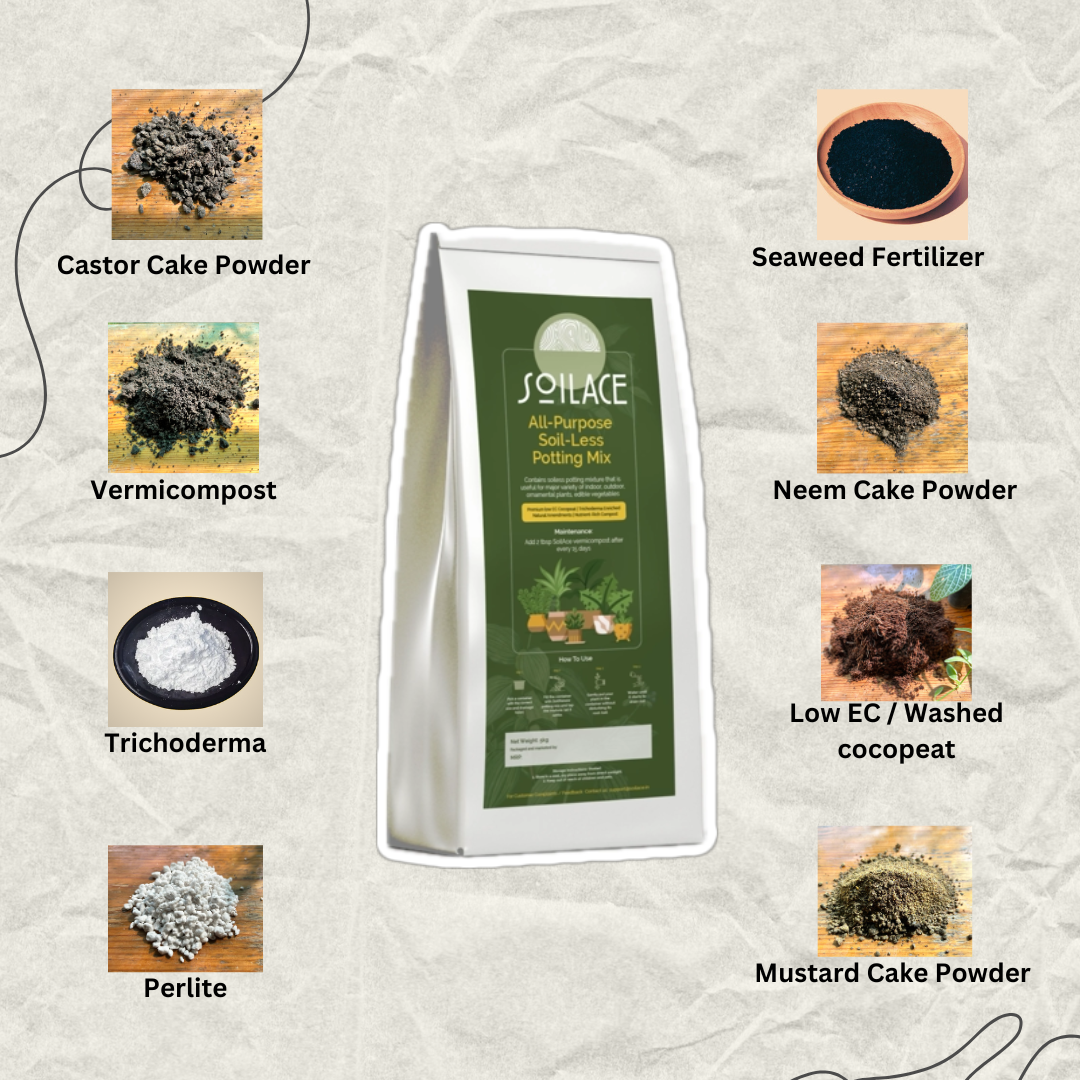 All Purpose Soil-less Potting Mix