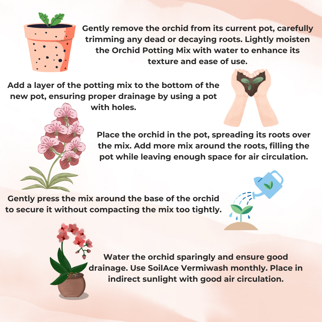 Orchid Potting Mix