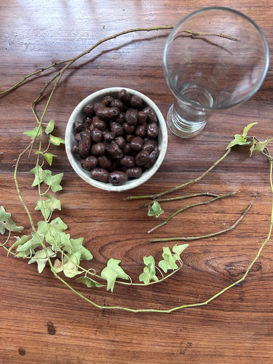 LECA Balls: The Ultimate Guide to Using Clay Pebbles for Your Plants