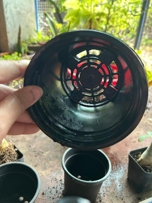 How to make Potting Mix for Houseplants: Your Easy Guide
