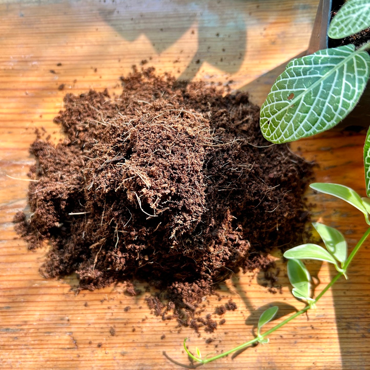 Seed Starter Soil-less Potting Mix