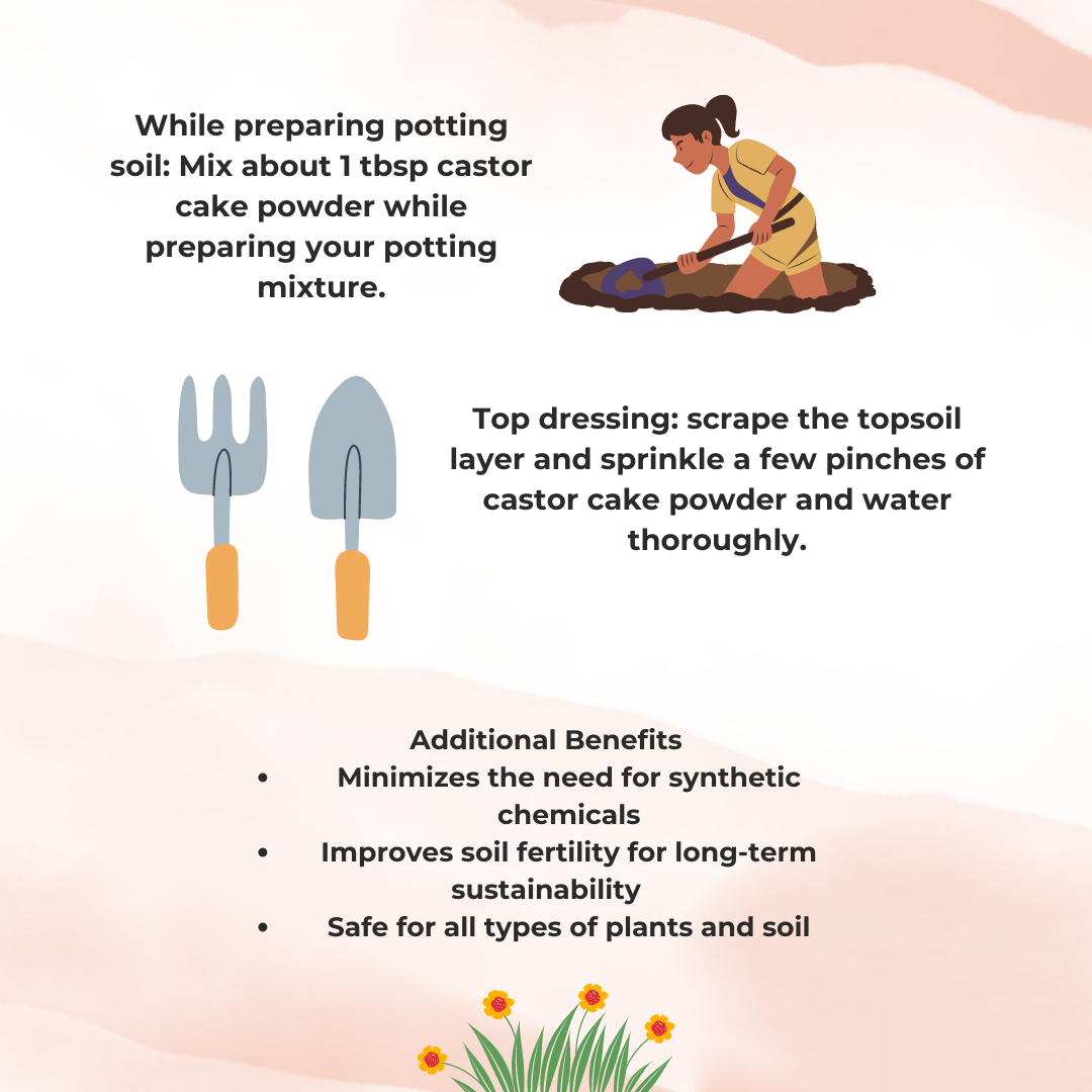 Castor Cake Powder Fertilizer