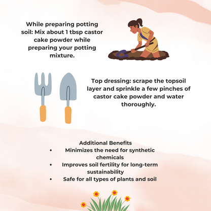 Castor Cake Powder Fertilizer