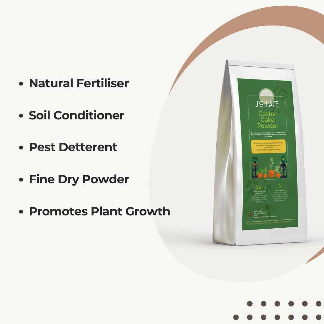 Castor Cake Powder Fertilizer