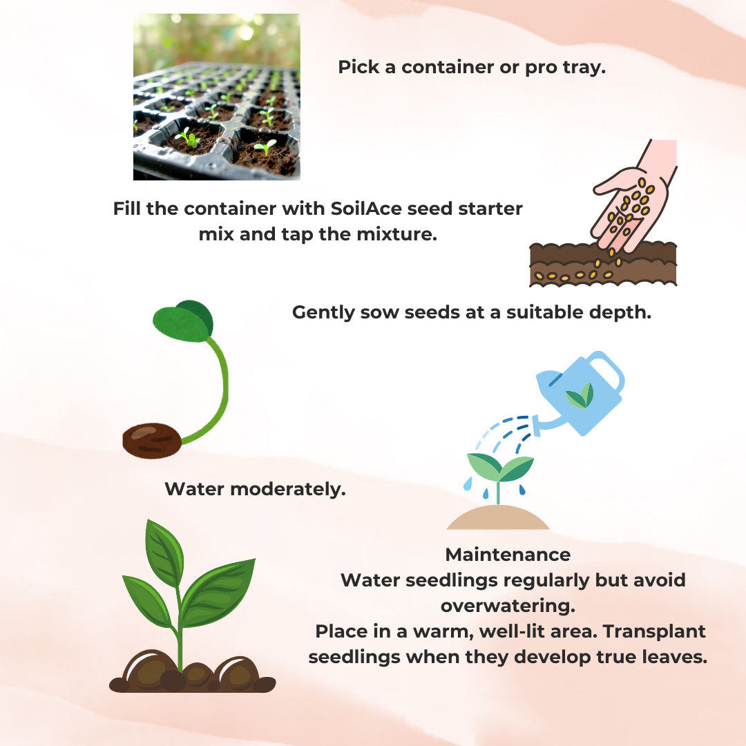 Seed Starter Soil-less Potting Mix